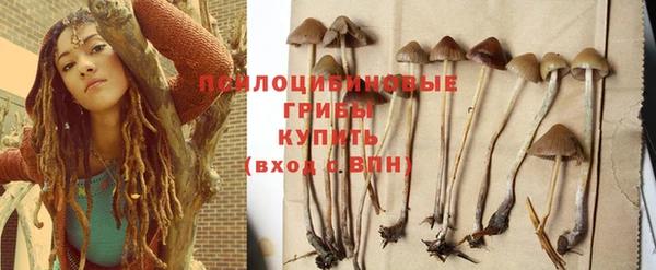 прущий лед Сафоново